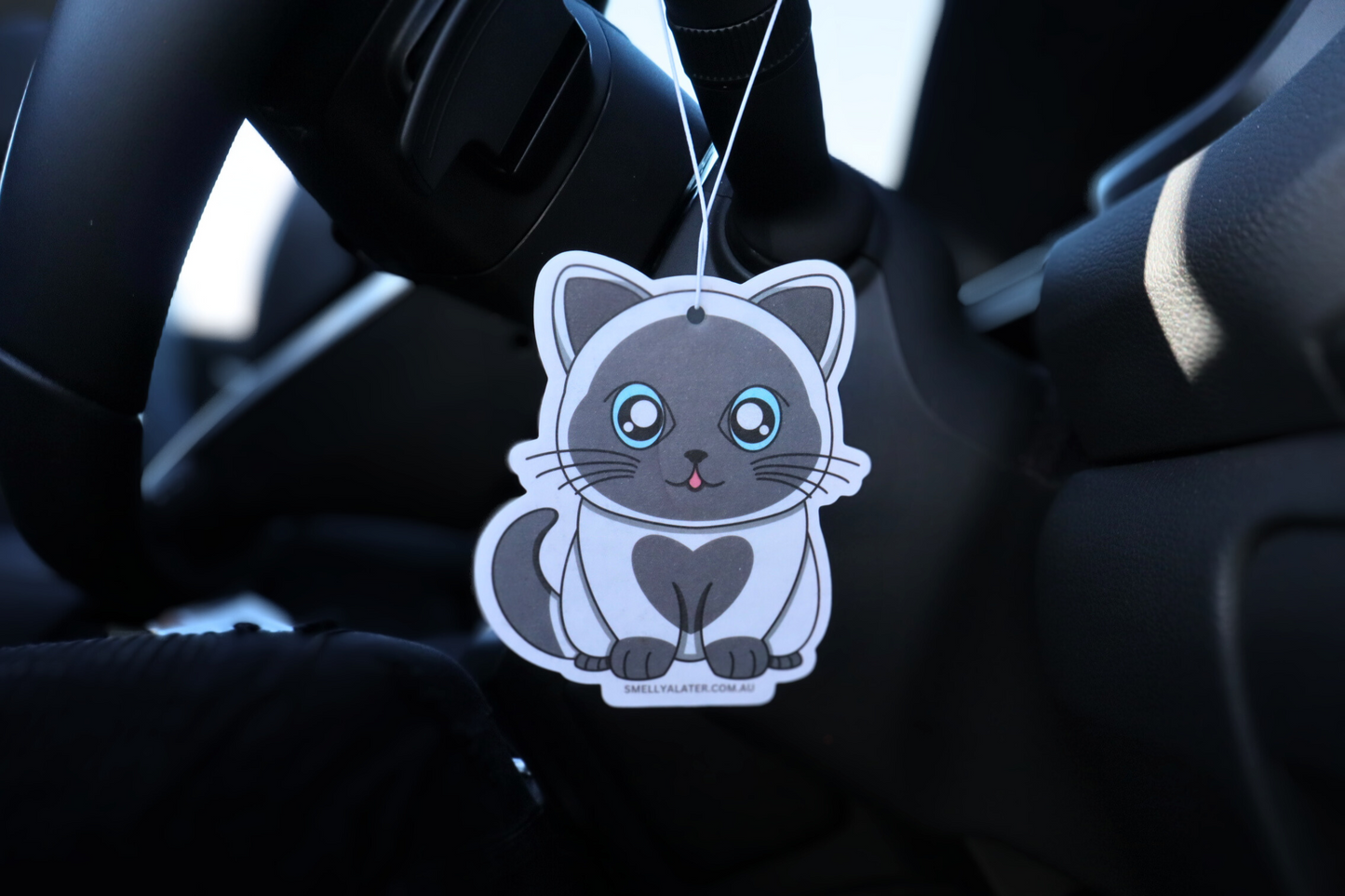 Cute chubby white and grey british shorthair with big sparkling blue eyes and poking it's tongue, hung in a cool black interior car. Smell Ya Later - Scented Air Freshener. Suitable for homes, wardrobes, cupboards, bathrooms, cars, office space, pet rooms, bed rooms, kitchen.