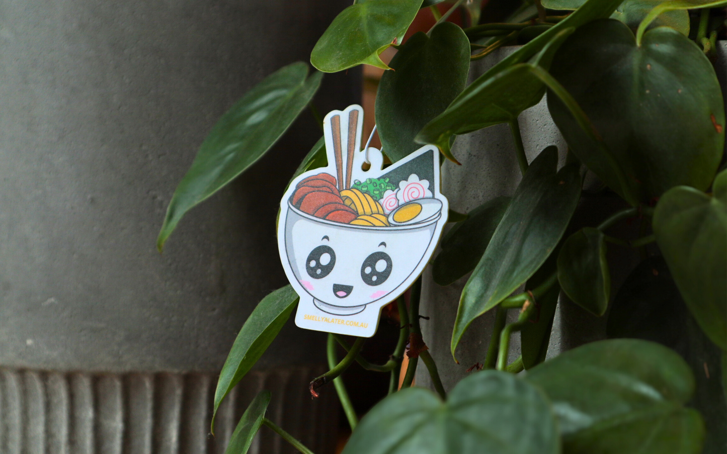 Cute, smiling, blushing tasty ramen with boiled egg, yellow thick noodles, tasty meat, spring onions, seaweed, fish cake and big sparkling eyes, hanging on beautiful green plants. Smell Ya Later - Scented Air Freshener. Suitable for homes, wardrobes, cupboards, bathrooms, cars, office space, pet rooms, bed rooms, kitchen.