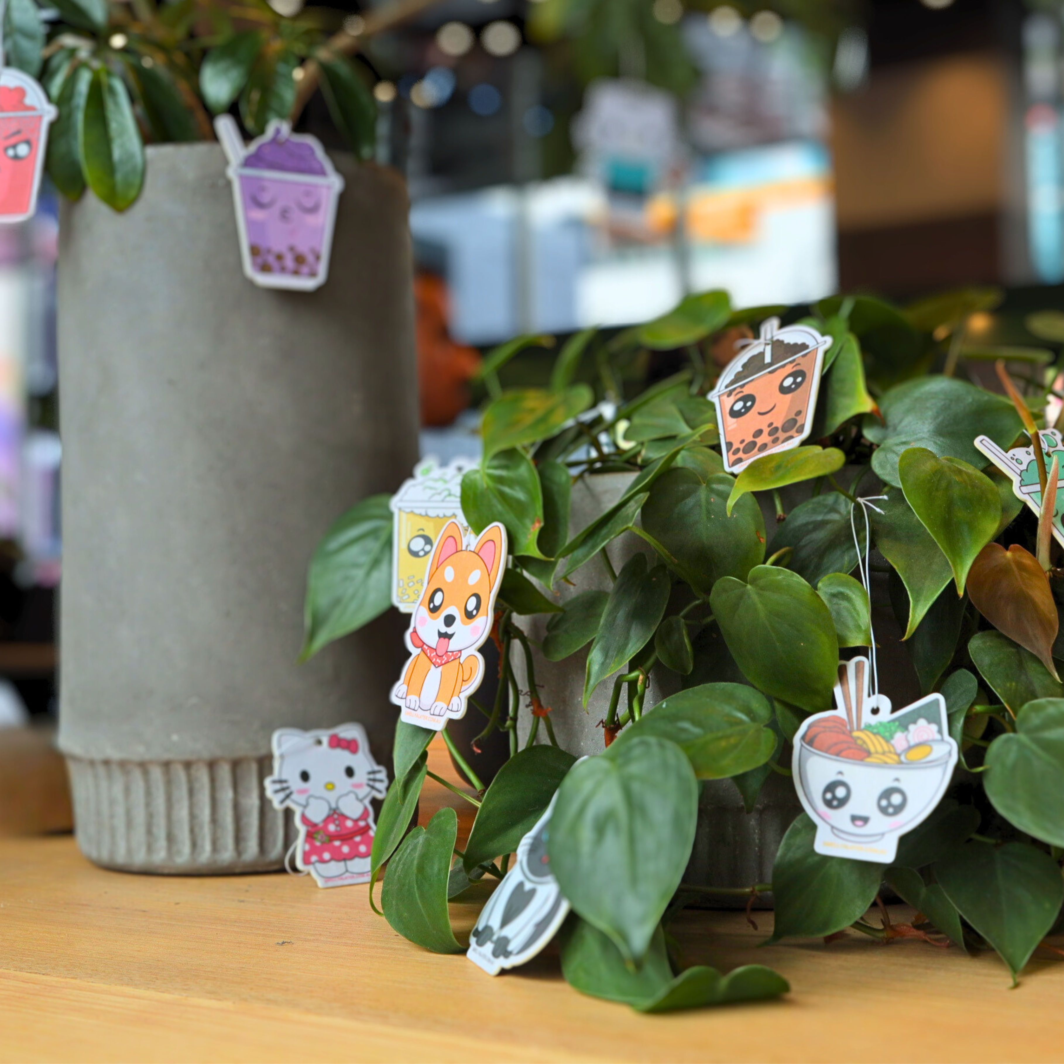Air Freshener Subscription