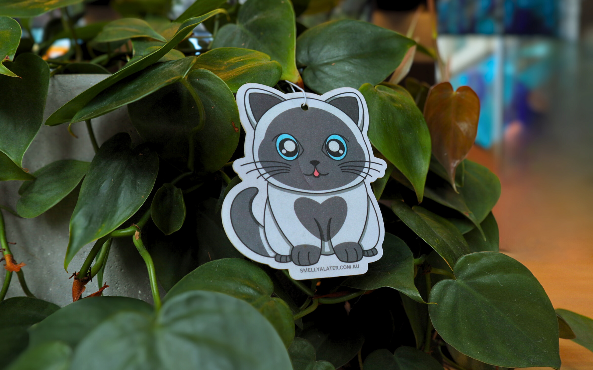 Cute chubby white and grey british shorthair with big sparkling blue eyes and poking it's tongue, hanging on beautiful green plants. Smell Ya Later - Scented Air Freshener. Suitable for homes, wardrobes, cupboards, bathrooms, cars, office space, pet rooms, bed rooms, kitchen.