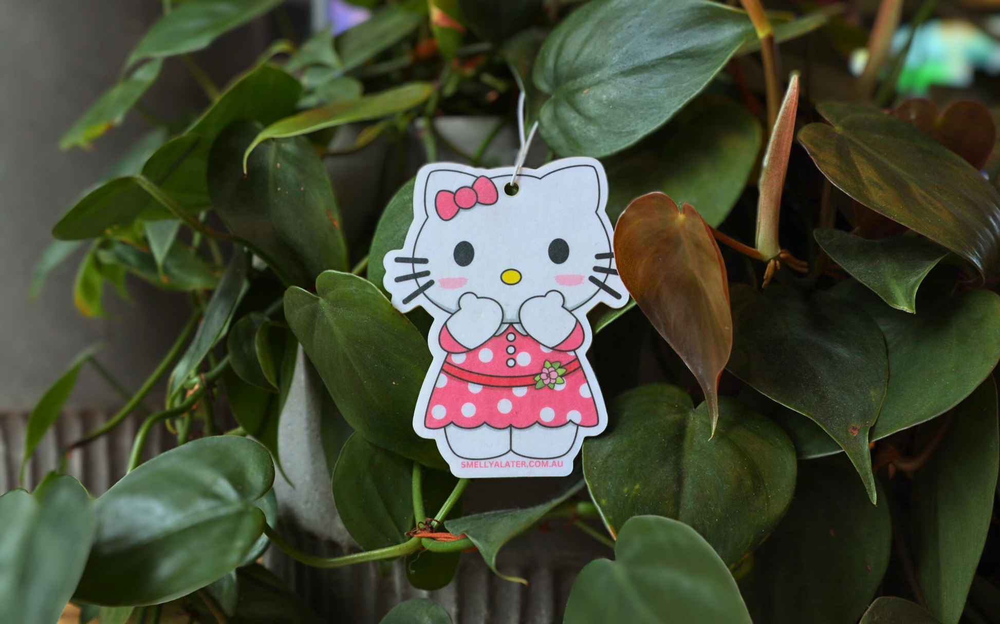 Cute blushing Hello Kitty wearing a pink dress with white spots, a pink bow and a flower, hanging on beautiful green plants. Smell Ya Later - Scented Air Freshener. Suitable for homes, wardrobes, cupboards, bathrooms, cars, office space, pet rooms, bed rooms, kitchen.  